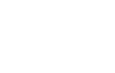 logo_pealeht-05